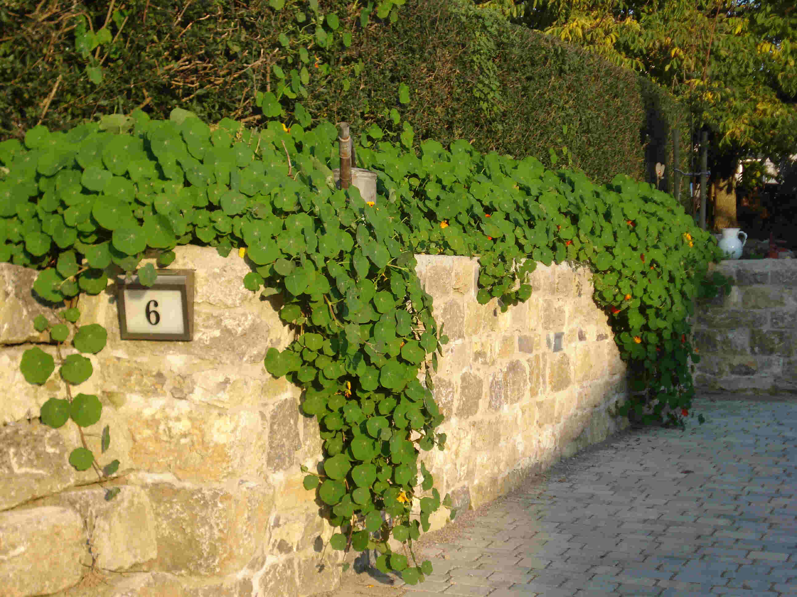Darstadt Bruchsteinmauer